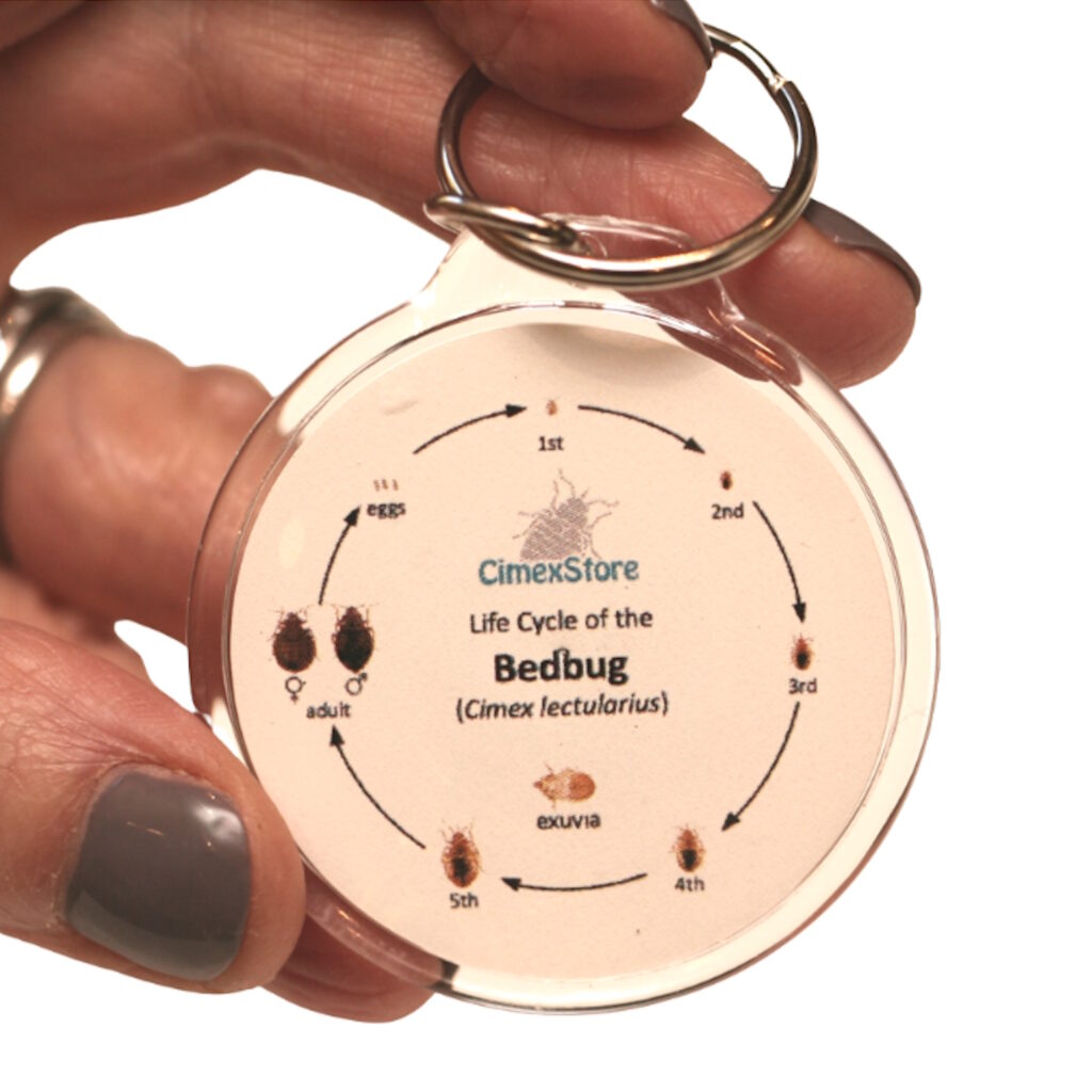Educational Products