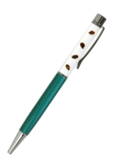 Preserved Bed Bug Pens - Image 3