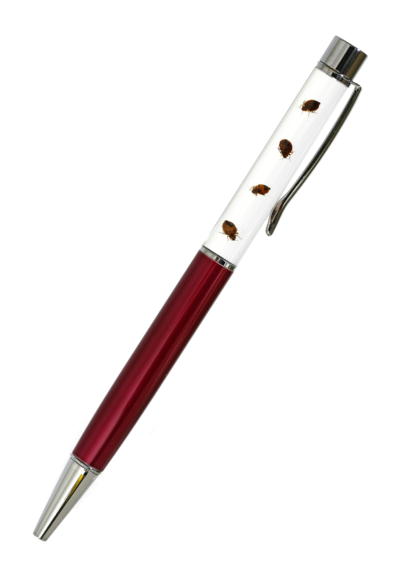 Preserved Bed Bug Pens - Image 4