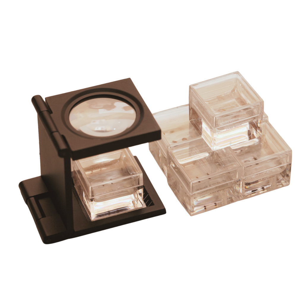 Resin Specimens