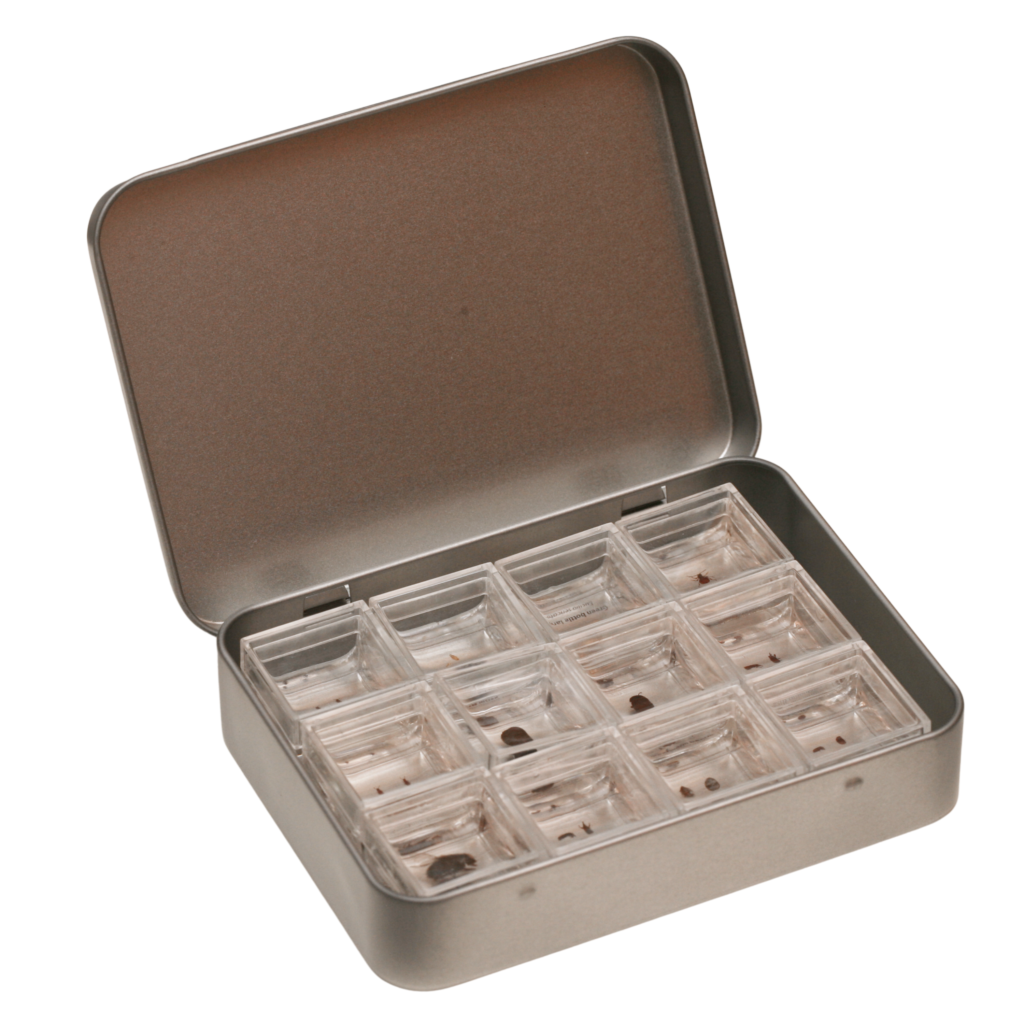 Resin Specimen Collection - 12